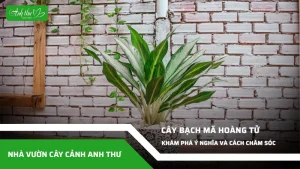 anh dai dien ccat 383