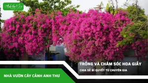anh dai dien ccat 381