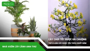 anh dai dien ccat 377