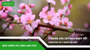 anh dai dien ccat 378