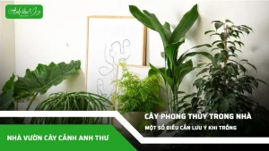anh dai dien ccat 375