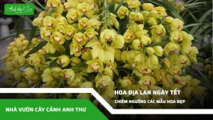 anh dai dien ccat 376