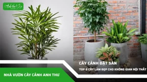 anh dai dien ccat 372