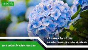 anh dai dien ccat 370