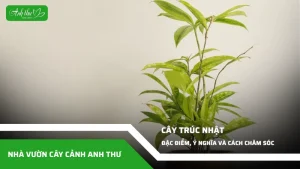 anh dai dien ccat 368