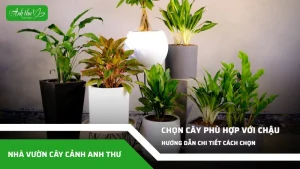 anh dai dien ccat 369