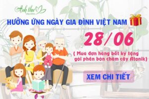 banner ngày 28.06 (1)