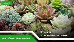 anh dai dien ccat 362