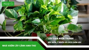 anh dai dien ccat 363