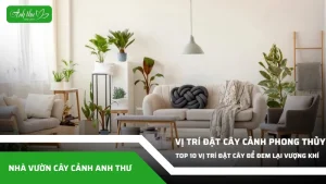 anh dai dien ccat 357