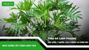 anh dai dien ccat 358