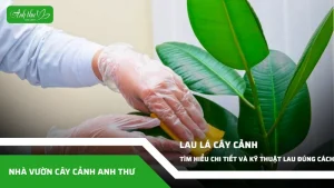 anh dai dien ccat 350