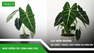 anh dai dien ccat 348