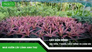 anh dai dien ccat 345