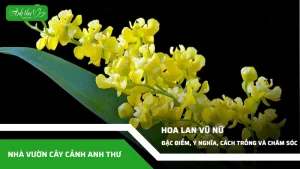 anh dai dien ccat 341