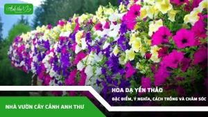 anh dai dien ccat 342