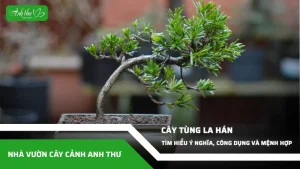 anh dai dien ccat 334