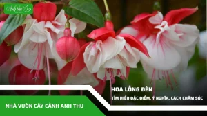anh dai dien ccat 332