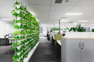 Cho thuê cây cảnh xí nghiệp Hà Nội