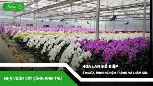 anh dai dien ccat 326