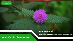 anh dai dien ccat 327