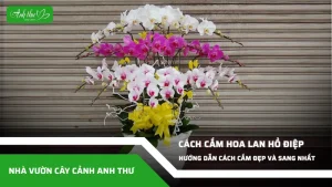 anh dai dien ccat 328