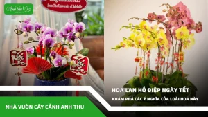anh dai dien ccat 329