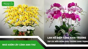 anh dai dien ccat 302