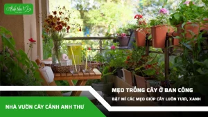 anh dai dien ccat 303