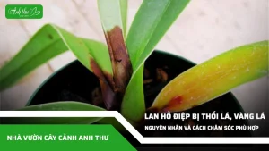 anh dai dien ccat 304