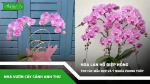 anh dai dien ccat 305