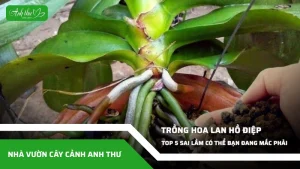 anh dai dien ccat 306