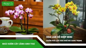anh dai dien ccat 307