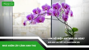 anh dai dien ccat 308