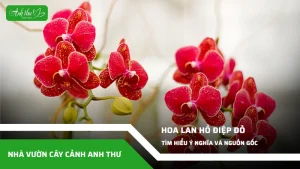 anh dai dien ccat 309
