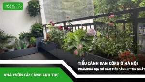anh dai dien ccat 310