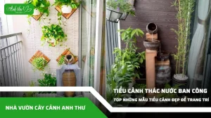 anh dai dien ccat 311