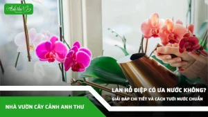 anh dai dien ccat 312