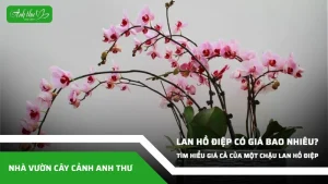 anh dai dien ccat 313