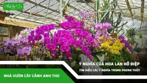 anh dai dien ccat 314