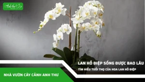 anh dai dien ccat 316