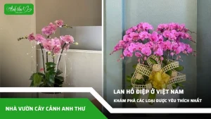 anh dai dien ccat 317
