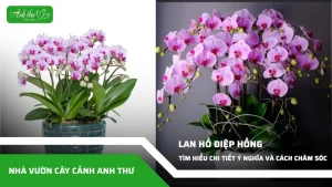 anh dai dien ccat 318