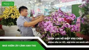 anh dai dien ccat 319