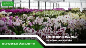 anh dai dien ccat 323