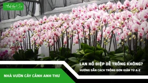 anh dai dien ccat 324