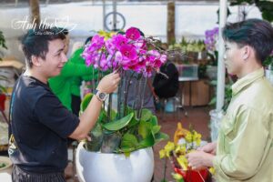 Địa chỉ mua hoa lan hồ điệp làm quà tặng 20/10