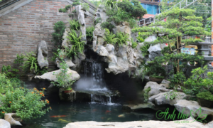 tieu canh ban cong non bo 2