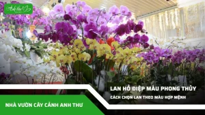 anh dai dien ccat 298