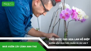 anh dai dien ccat 301